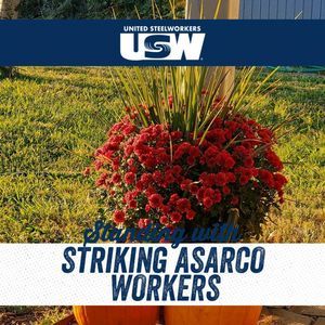 Meet your Posher, Belinda